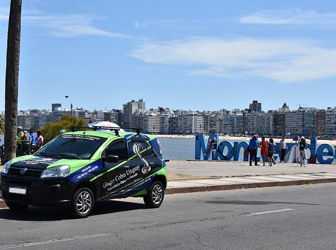 grupo-cobra-3 grupo-cobra-3